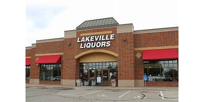 Lakeville daycares